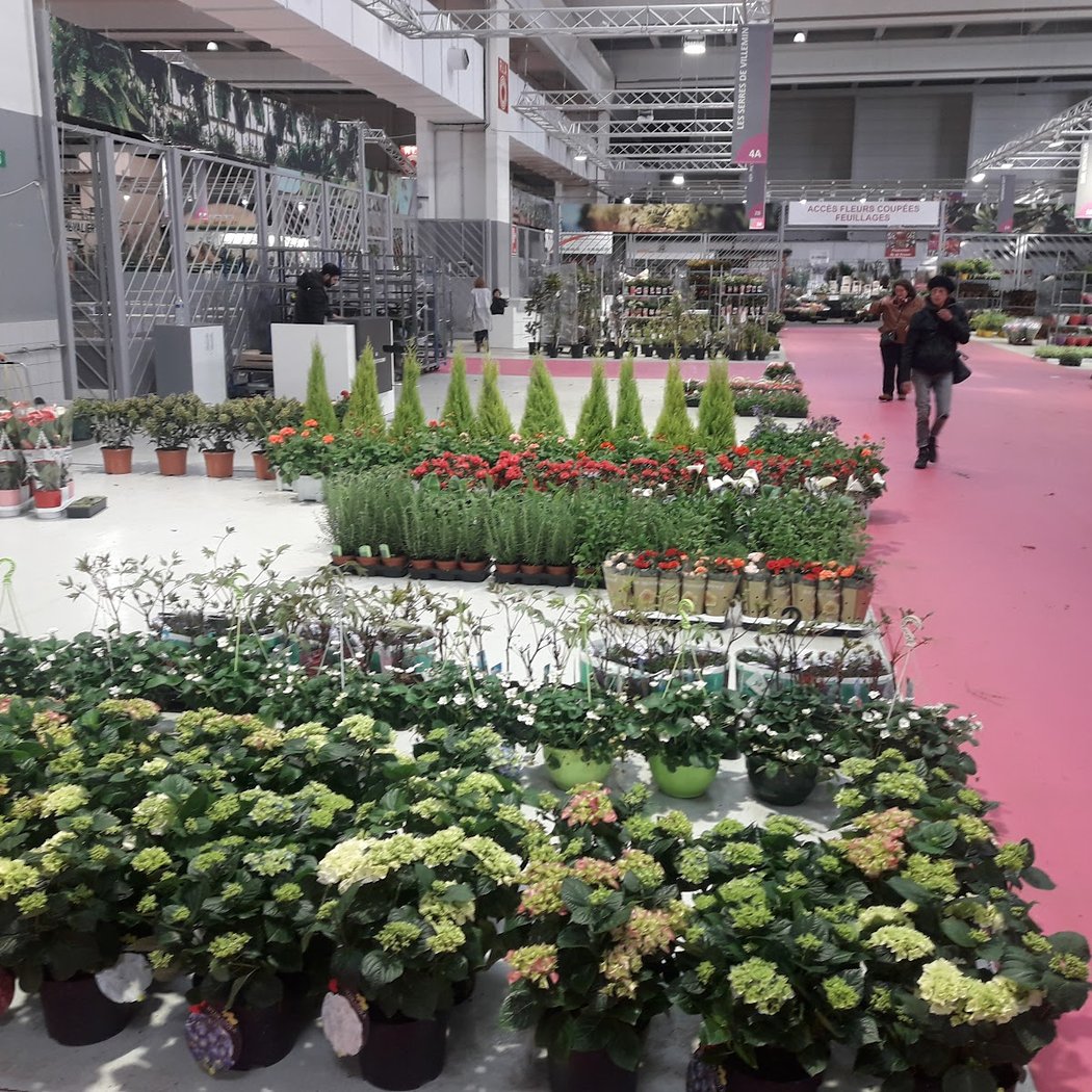 Rungis market - flowers Home and decoration 3